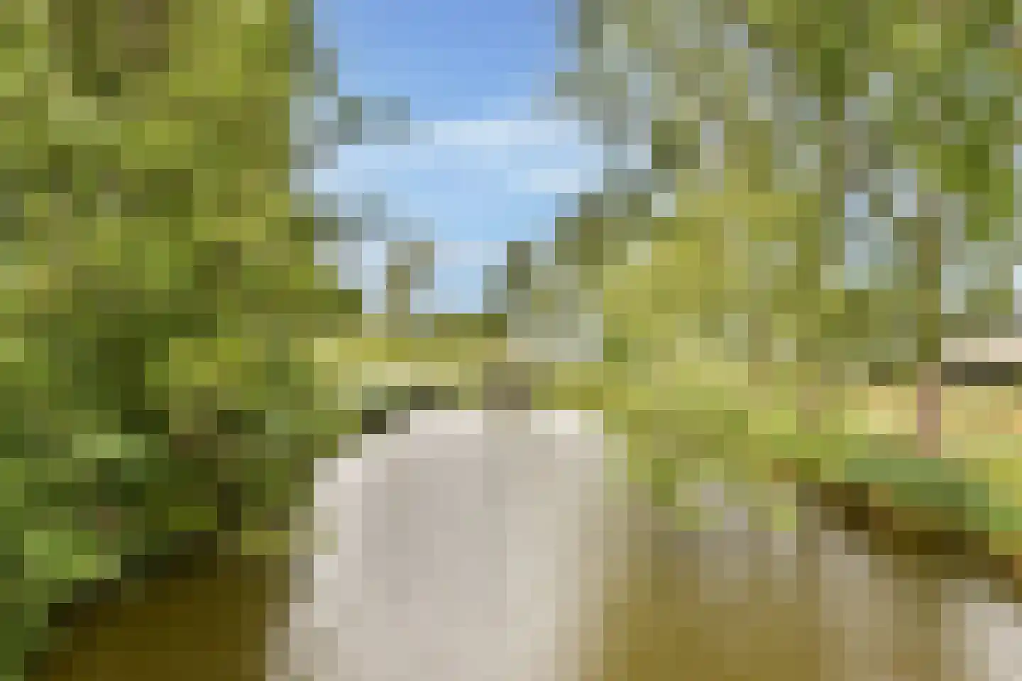 Van 't Hoffstraat 2 Vlaardingen thumbnail 20