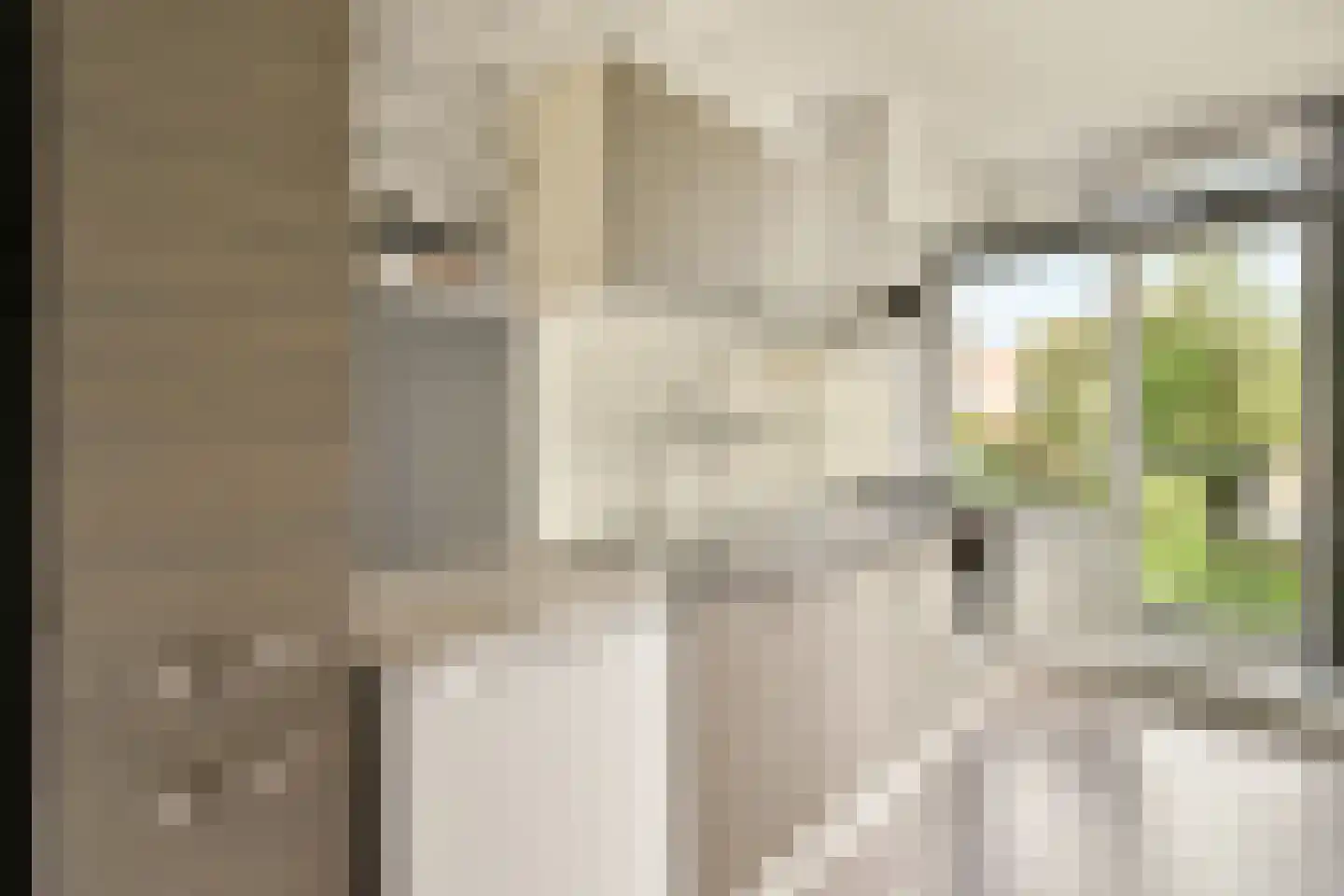 Van 't Hoffstraat 2 Vlaardingen thumbnail 8