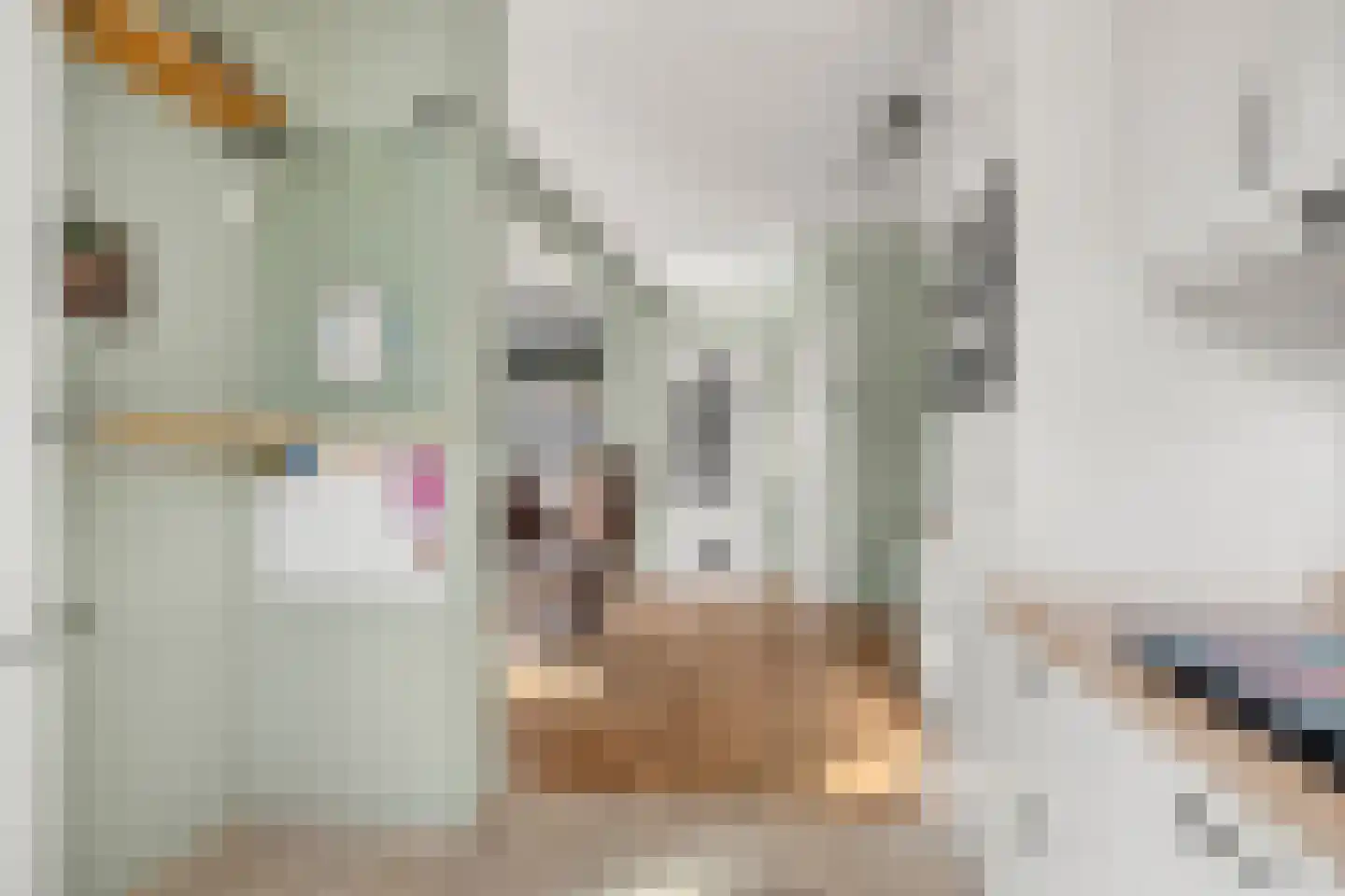 Van 't Hoffstraat 20 Wageningen thumbnail 11