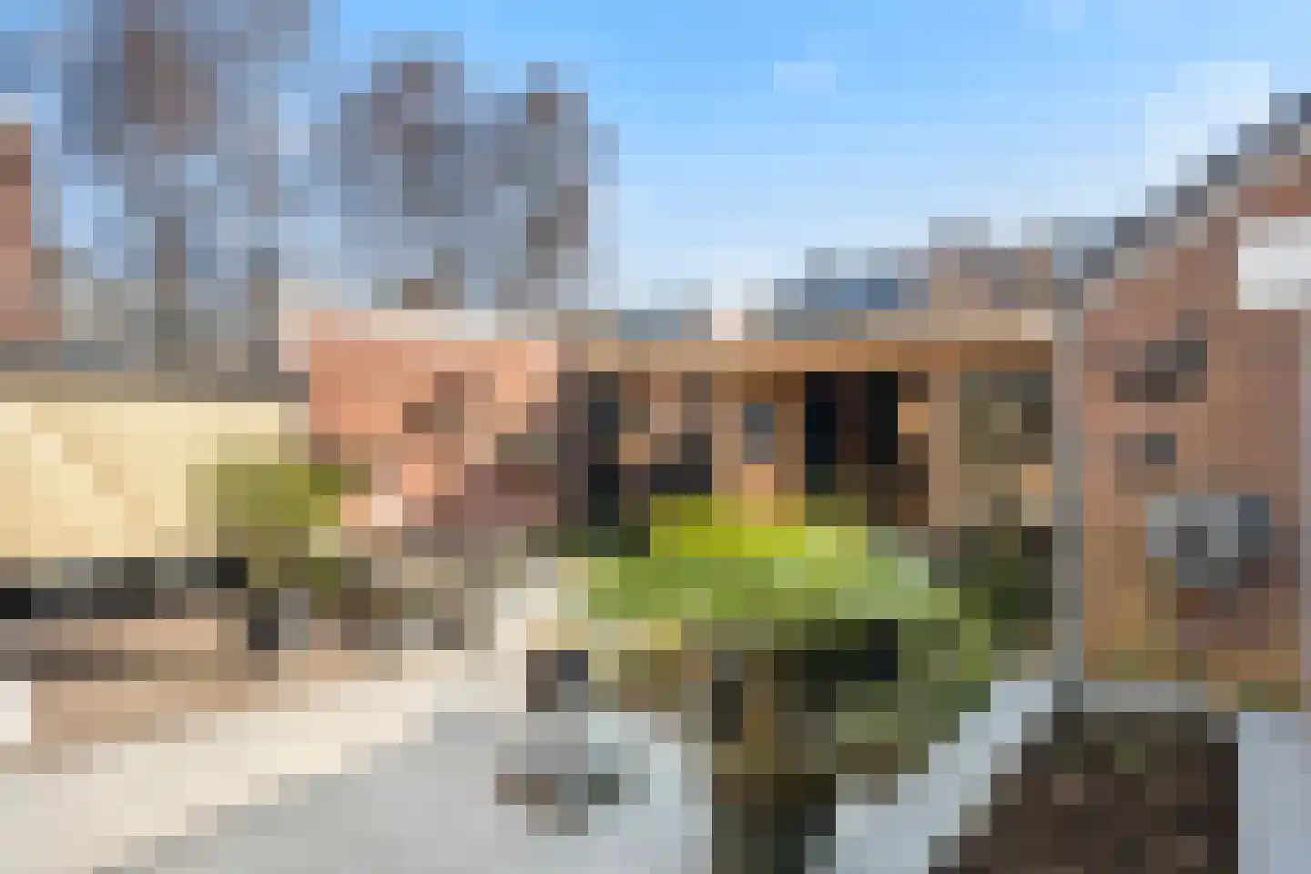 Van 't Hoffstraat 20 Wageningen thumbnail 27