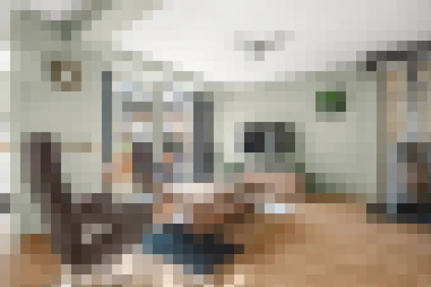 Van 't Hoffstraat 20 Wageningen thumbnail 4