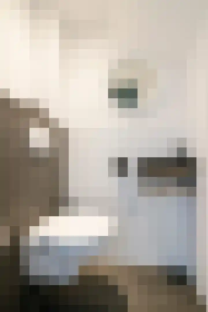 Van 't Hoffstraat 212 Haarlem thumbnail 11