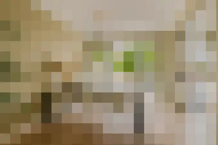 Van 't Hoffstraat 212 Haarlem thumbnail 18