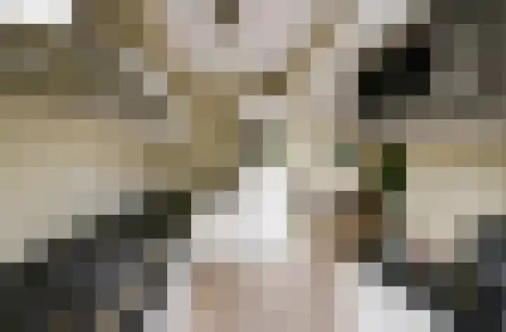 Van 't Hoffstraat 212 Haarlem thumbnail 22