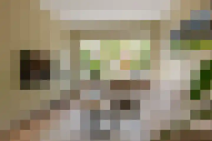 Van 't Hoffstraat 212 Haarlem thumbnail 26