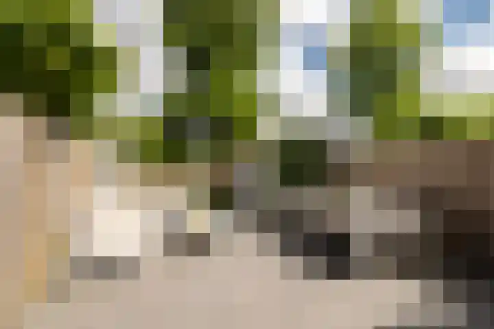 Van 't Hoffstraat 212 Haarlem thumbnail 5