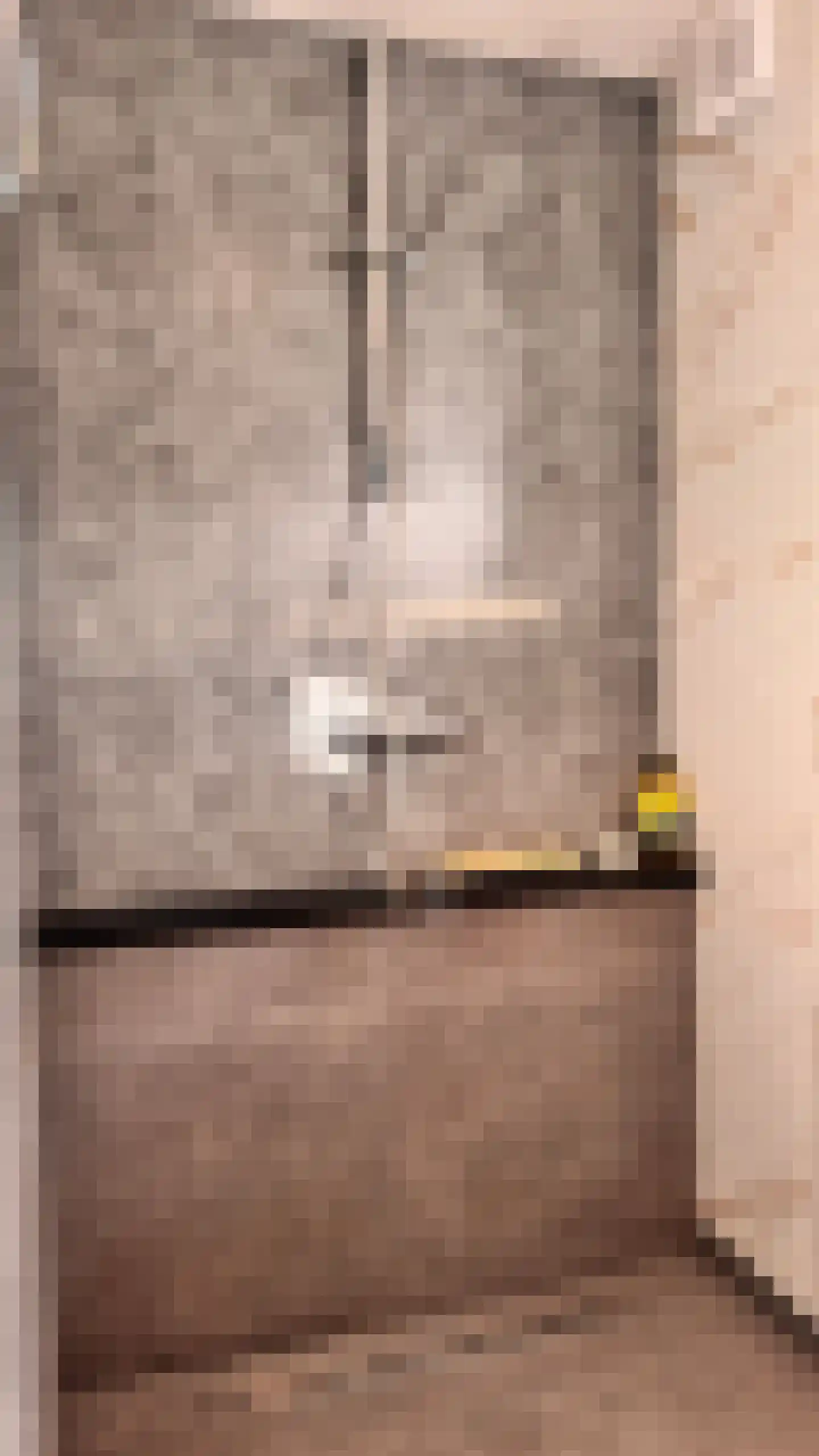 Van 't Hoffstraat 22 Wageningen thumbnail 19