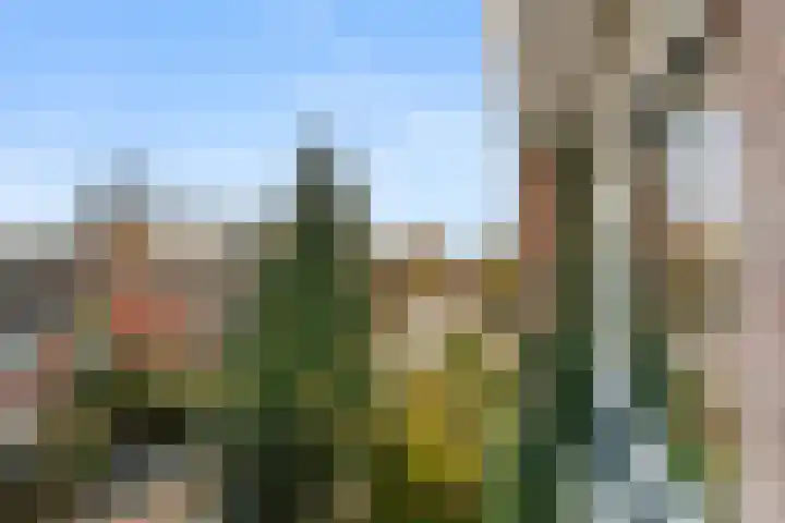 Van 't Hoffstraat 23 II Wageningen thumbnail 20