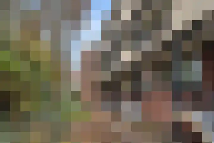 Van 't Hoffstraat 23 II Wageningen thumbnail 33