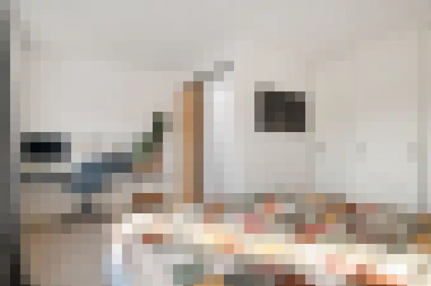 Van 't Hoffstraat 24 Haarlem thumbnail 13