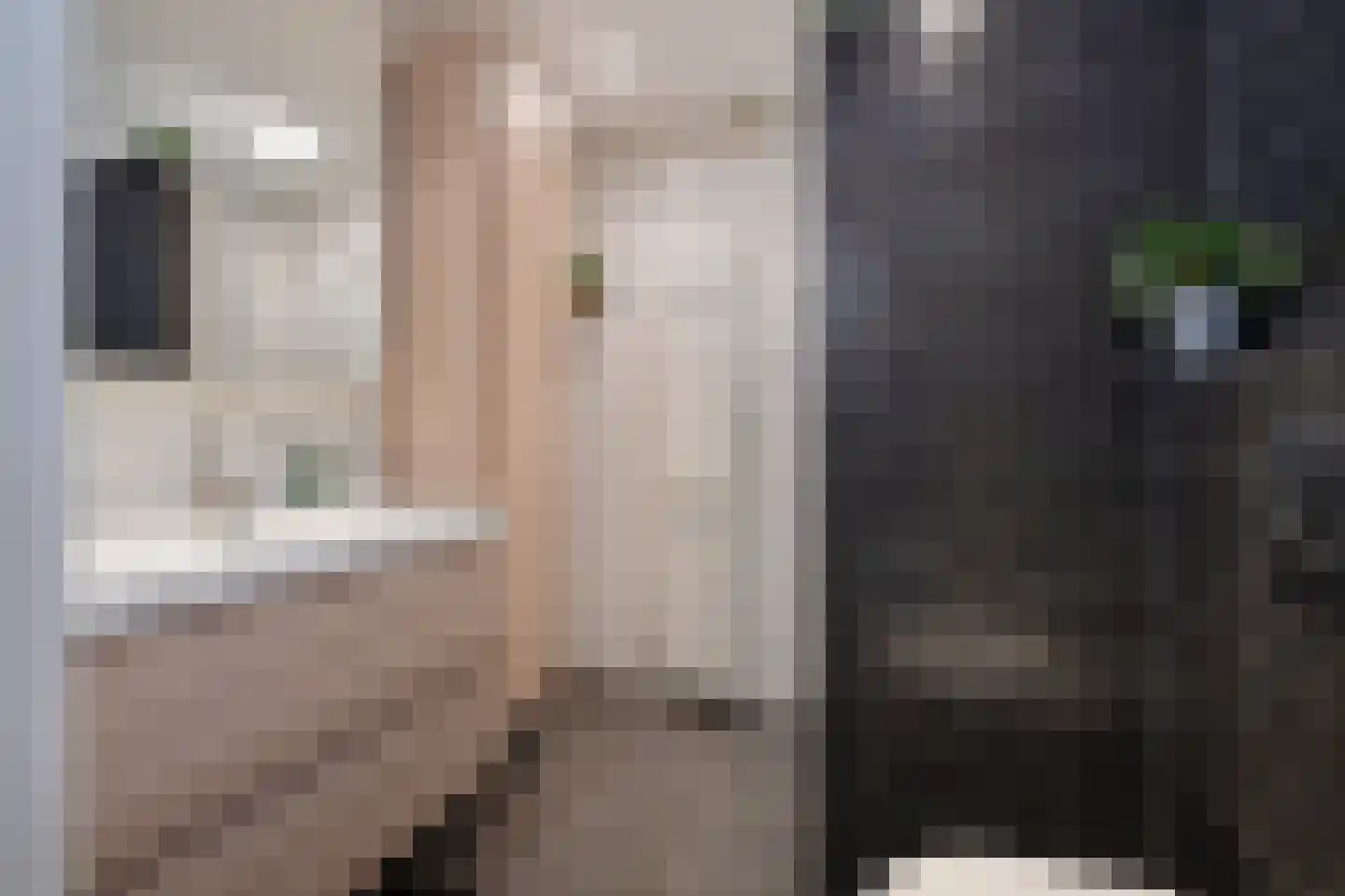 Van 't Hoffstraat 287 Haarlem thumbnail 23