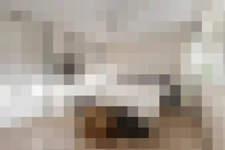 Van 't Hoffstraat 29 Hilversum thumbnail 19