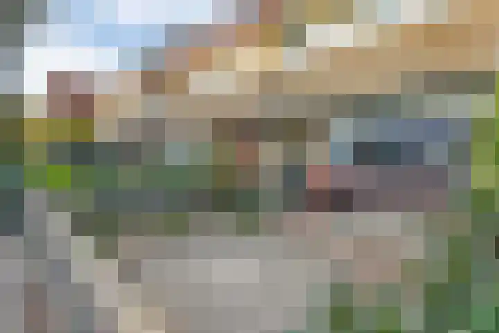 Van 't Hoffstraat 29 Hilversum thumbnail 4