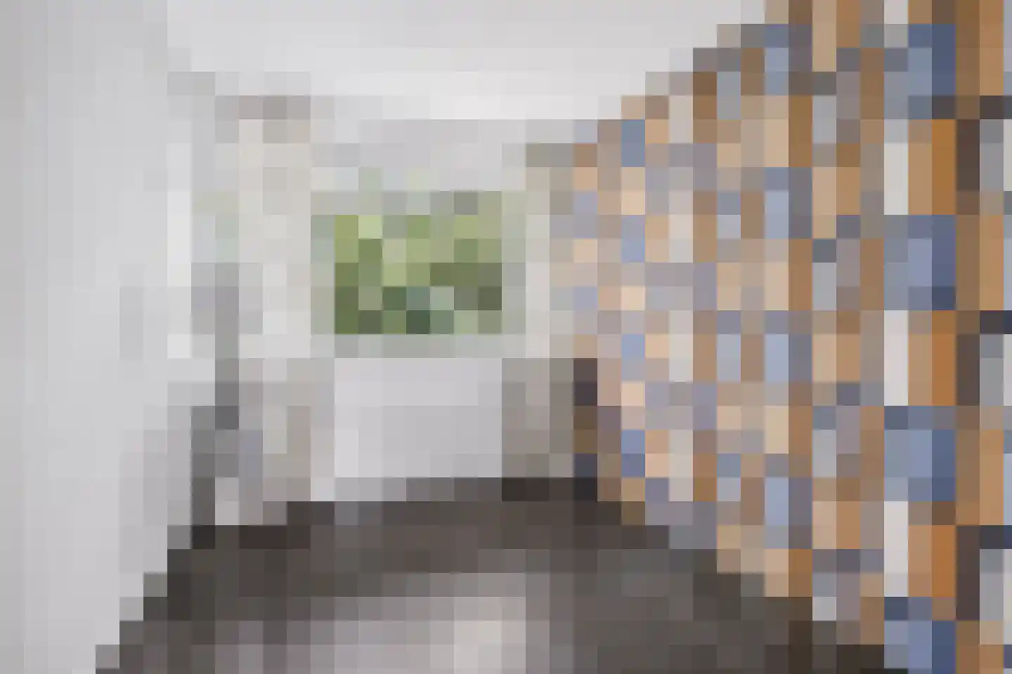 Van 't Hoffstraat 3 II Wageningen thumbnail 26