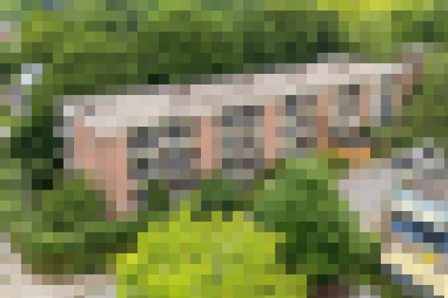 Van 't Hoffstraat 3 II Wageningen thumbnail 35