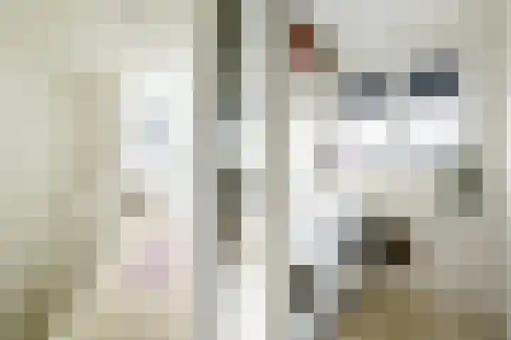 Van 't Hoffstraat 33 Haarlem thumbnail 25