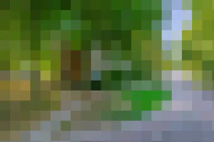 Van 't Hoffstraat 35 Wageningen thumbnail 18