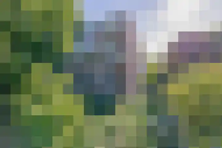 Van 't Hoffstraat 35 Wageningen thumbnail 24