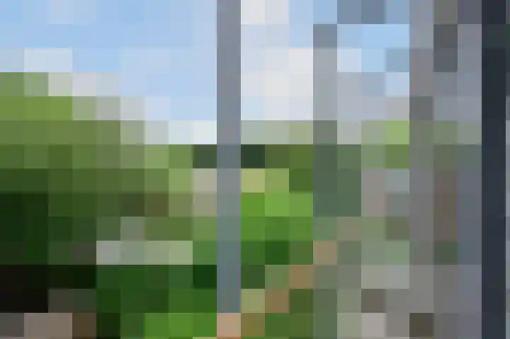 Van 't Hoffstraat 4 A Wageningen thumbnail 11