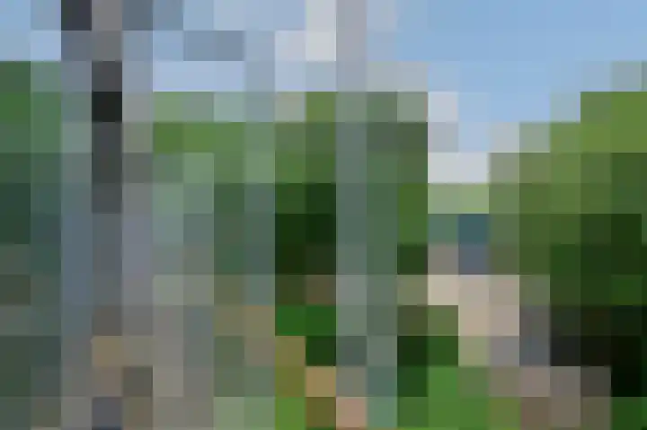 Van 't Hoffstraat 4 A Wageningen thumbnail 12