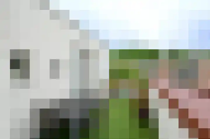Van 't Hoffstraat 4 A Wageningen thumbnail 21
