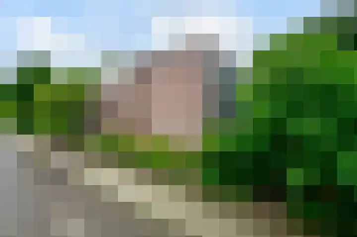 Van 't Hoffstraat 4 A Wageningen thumbnail 22