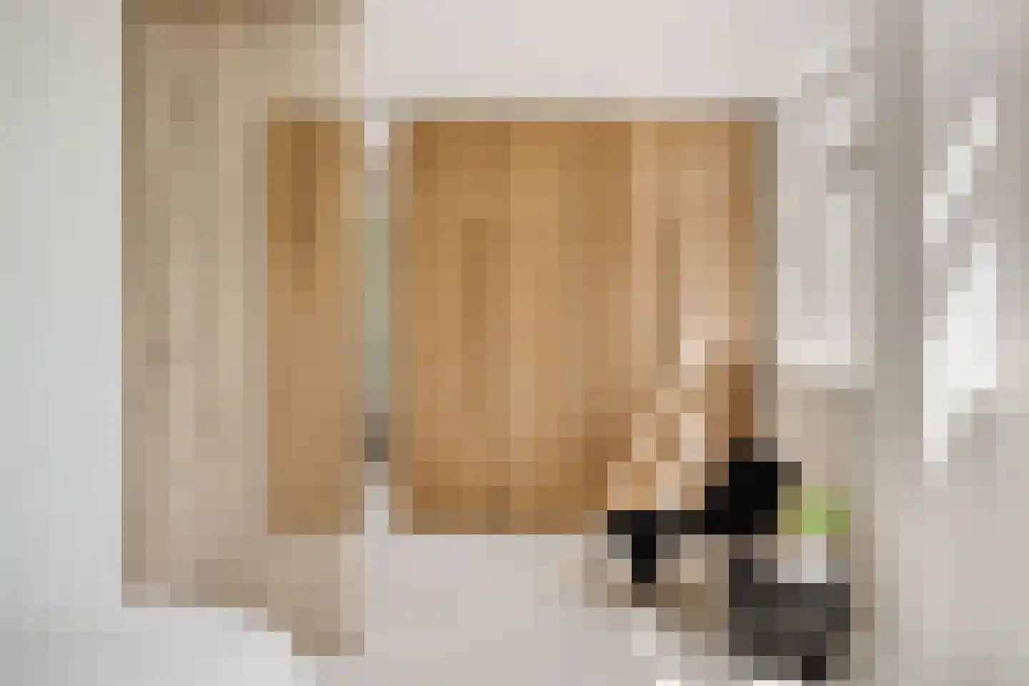 Van 't Hoffstraat 4 Haarlem thumbnail 17
