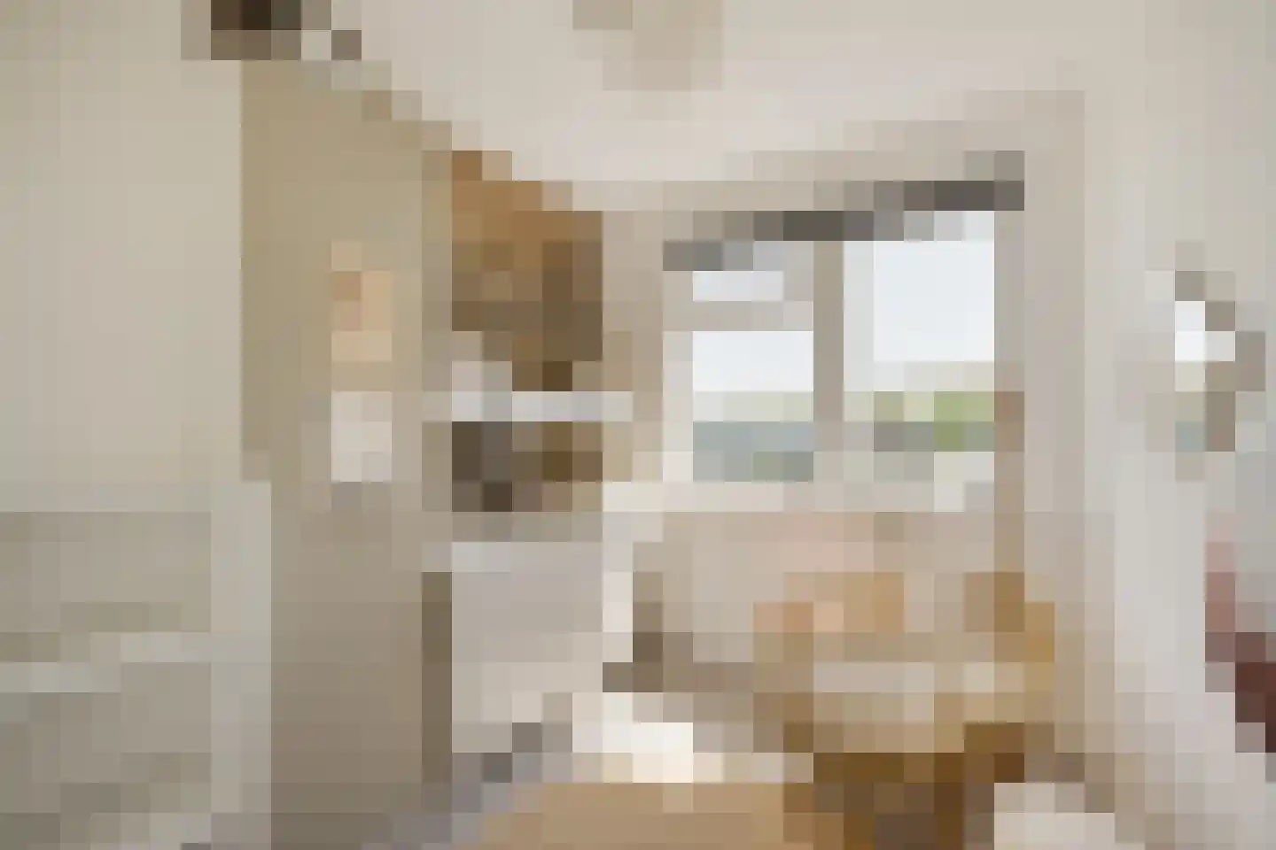 Van 't Hoffstraat 4 Haarlem thumbnail 19