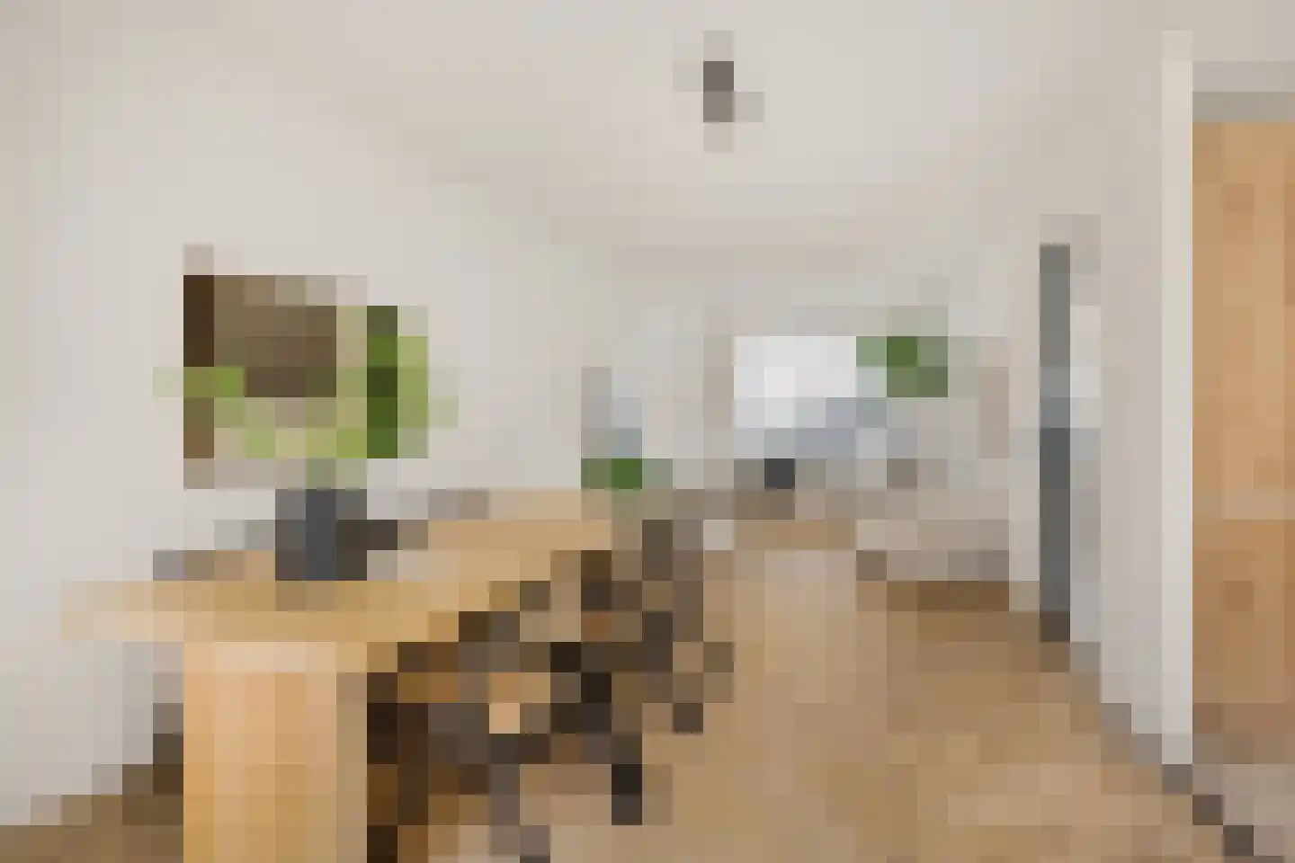 Van 't Hoffstraat 4 Haarlem thumbnail 5