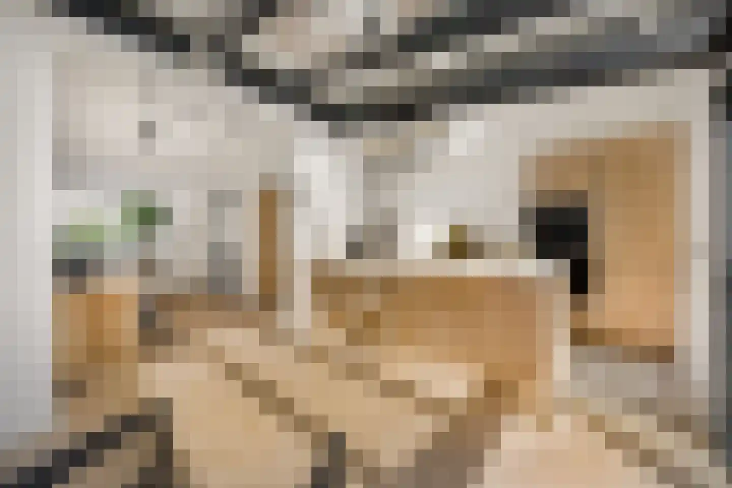 Van 't Hoffstraat 4 Haarlem thumbnail 6