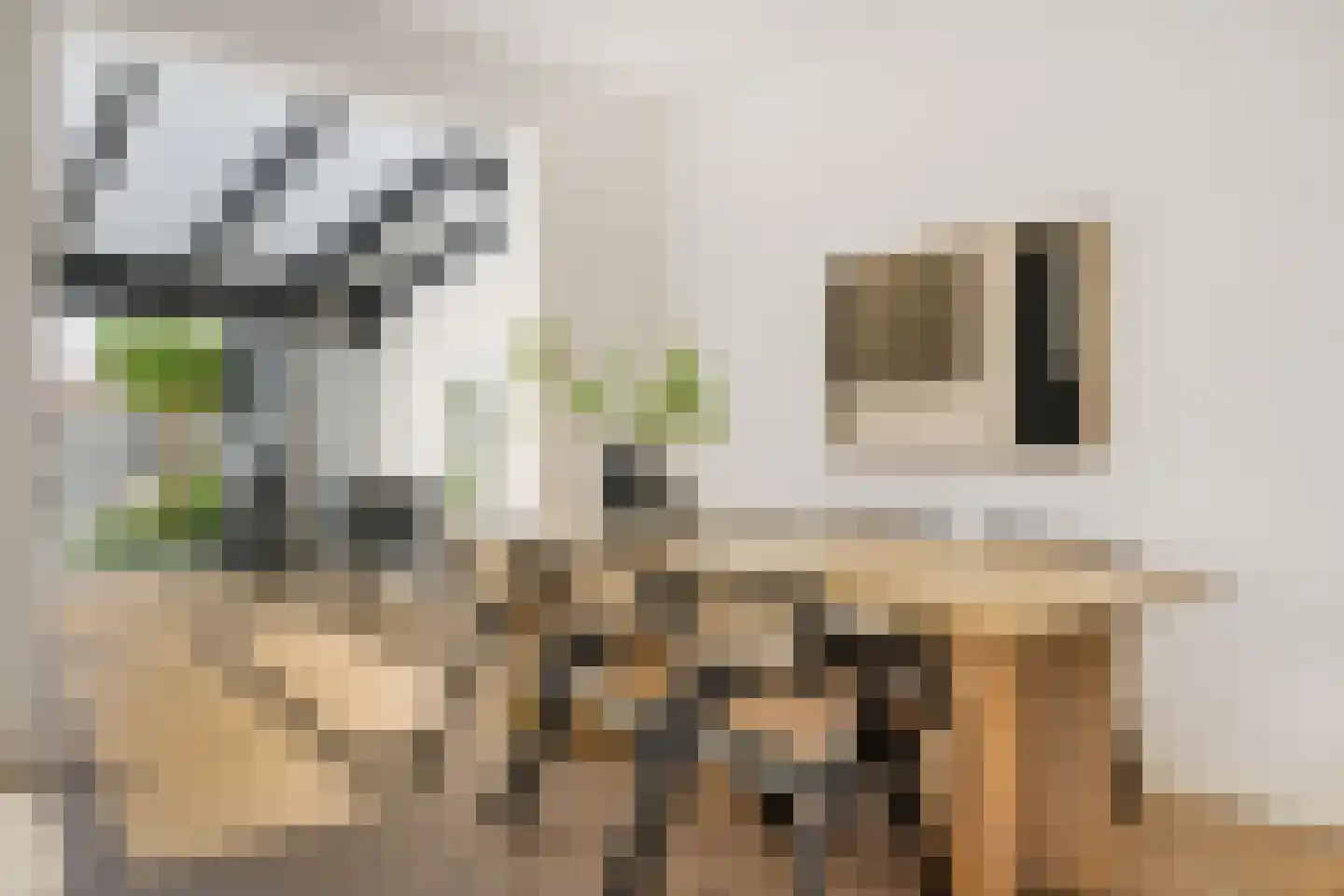 Van 't Hoffstraat 4 Haarlem thumbnail 8