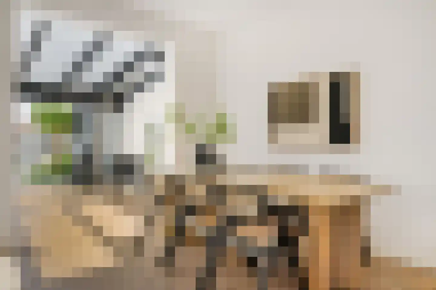 Van 't Hoffstraat 4 Haarlem thumbnail 8