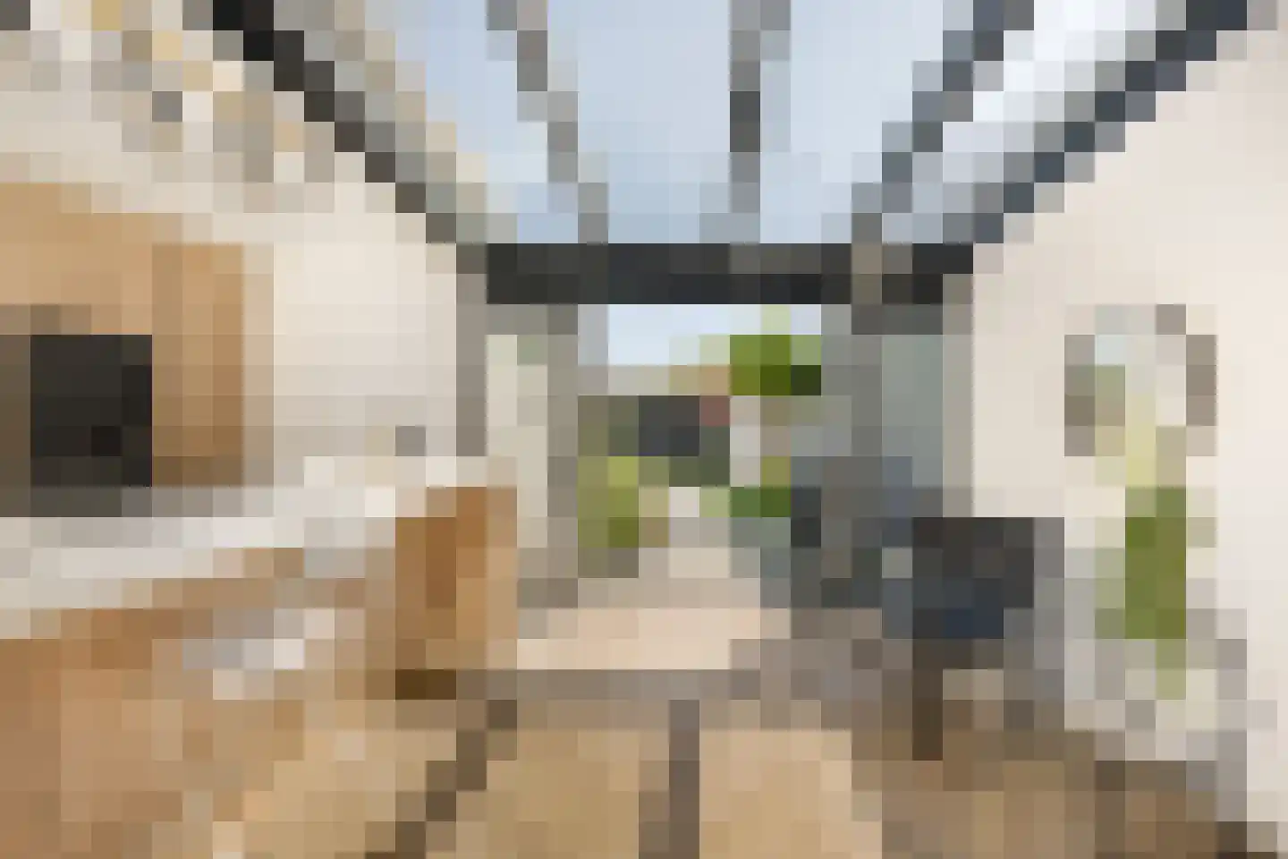 Van 't Hoffstraat 4 Haarlem thumbnail 9