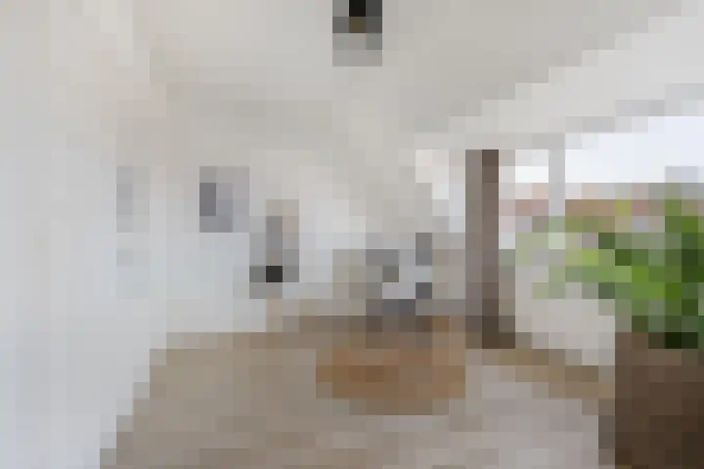 Van 't Hoffstraat 41 A Leiden thumbnail 17