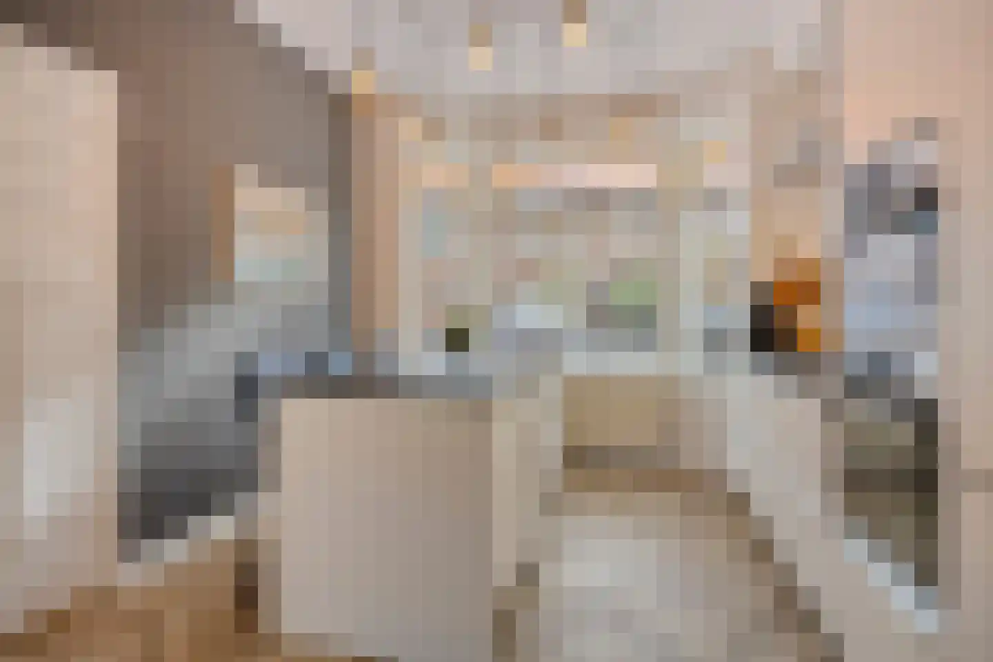 Van 't Hoffstraat 41 Leiden thumbnail 11