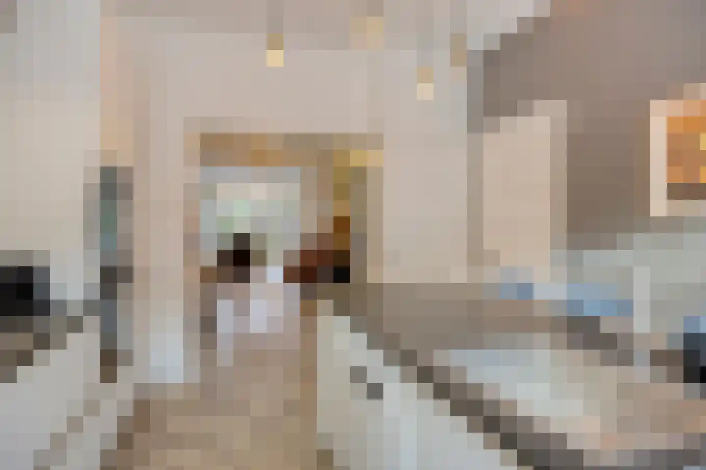 Van 't Hoffstraat 41 Leiden thumbnail 14