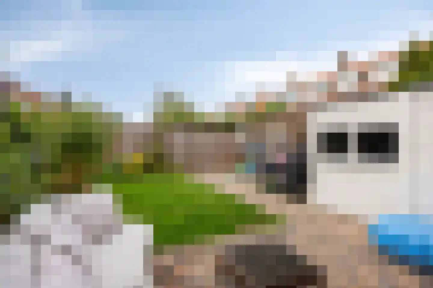 Van 't Hoffstraat 41 Leiden thumbnail 25