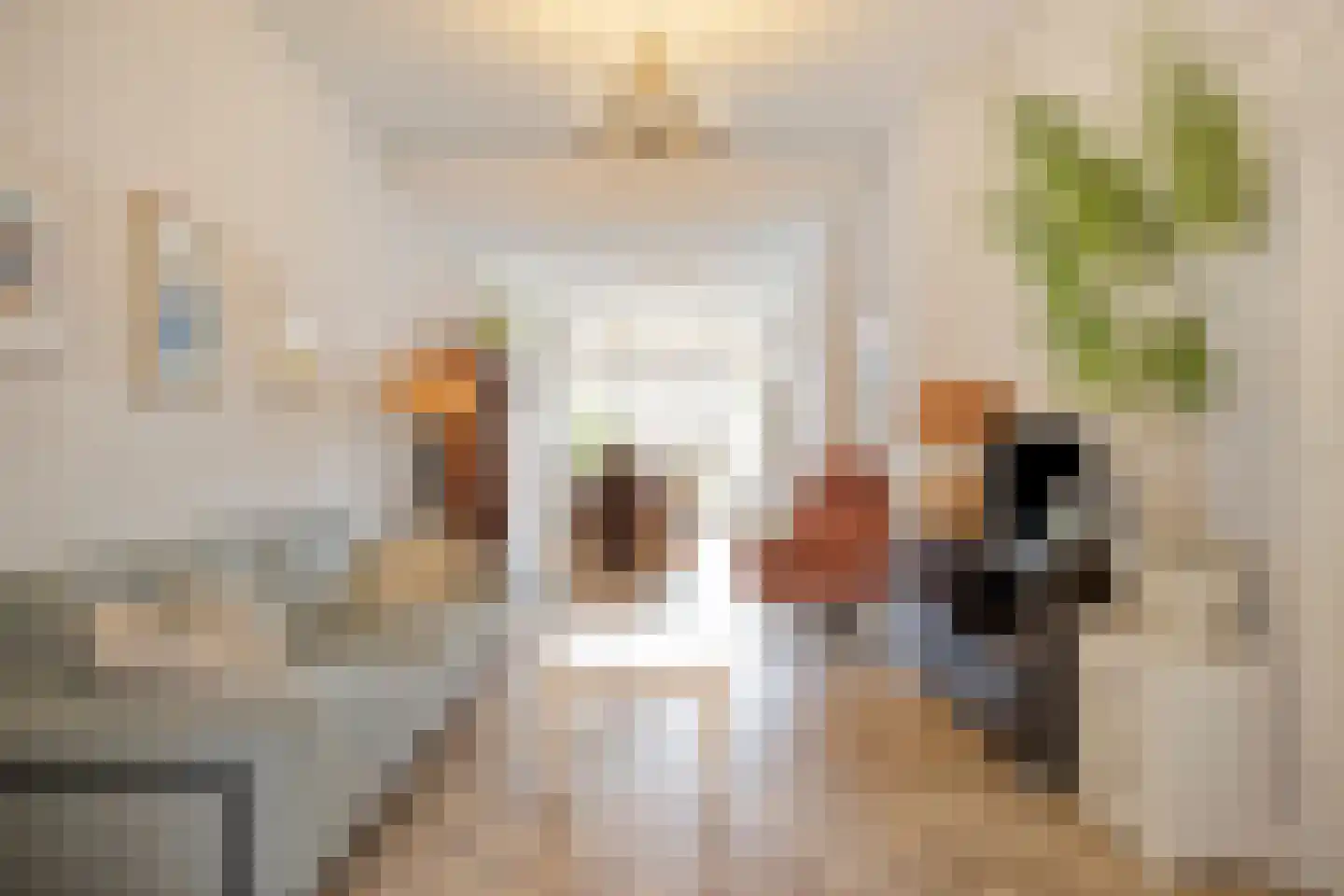 Van 't Hoffstraat 41 Leiden thumbnail 4