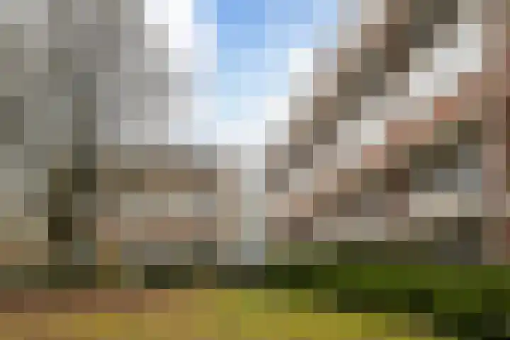 Van 't Hoffstraat 41 Wageningen thumbnail 23