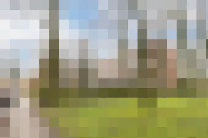 Van 't Hoffstraat 41 Wageningen thumbnail 28
