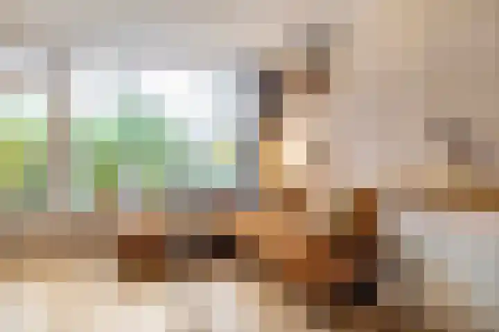 Van 't Hoffstraat 41 Wageningen thumbnail 7