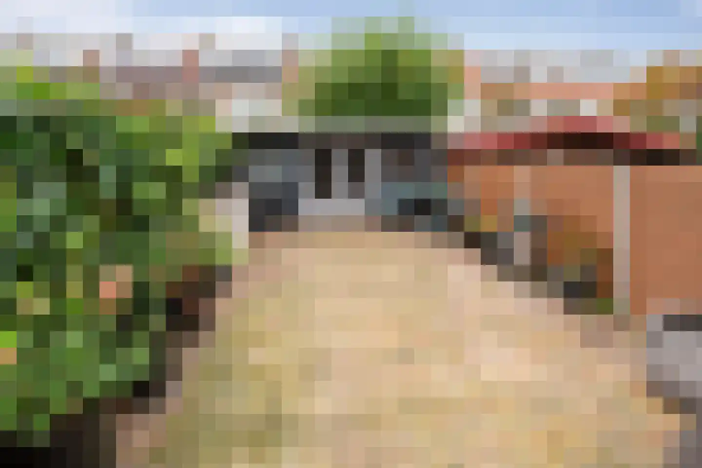 Van 't Hoffstraat 43 Haarlem thumbnail 16