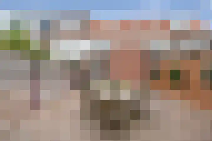 Van 't Hoffstraat 45 Haarlem thumbnail 19