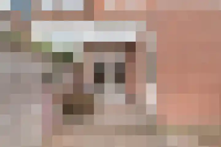 Van 't Hoffstraat 45 Haarlem thumbnail 20