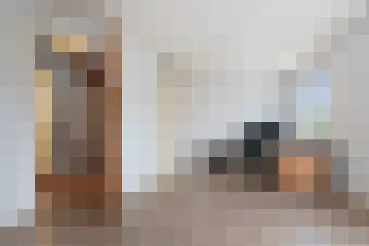 Van 't Hoffstraat 45 Haarlem thumbnail 29
