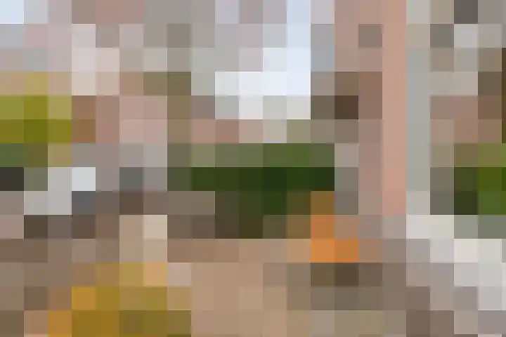 Van 't Hoffstraat 45 Haarlem thumbnail 37