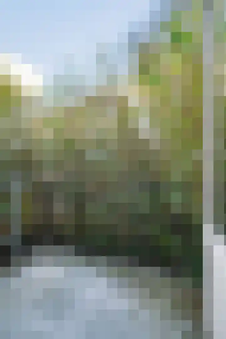 Van 't Hoffstraat 51 Wageningen thumbnail 21