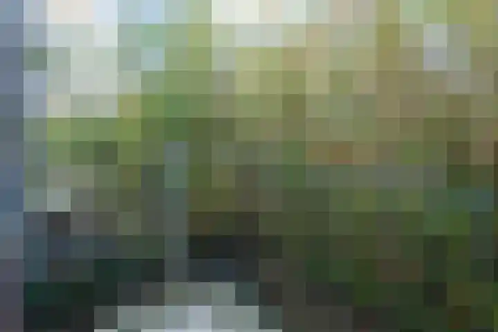 Van 't Hoffstraat 51 Wageningen thumbnail 22