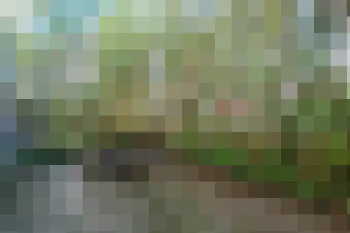 Van 't Hoffstraat 51 Wageningen thumbnail 23