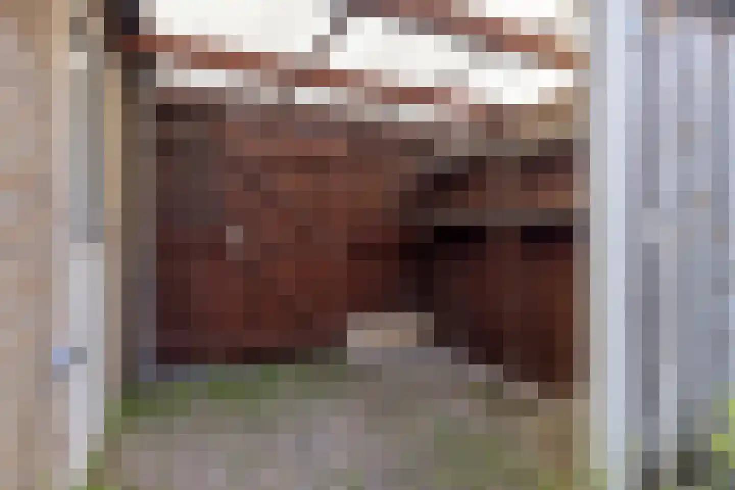 Van 't Hoffstraat 55 Etten-Leur thumbnail 38